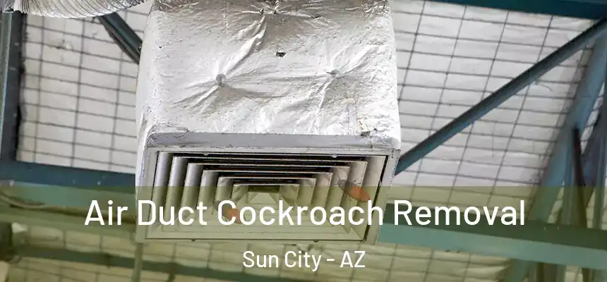 Air Duct Cockroach Removal Sun City - AZ
