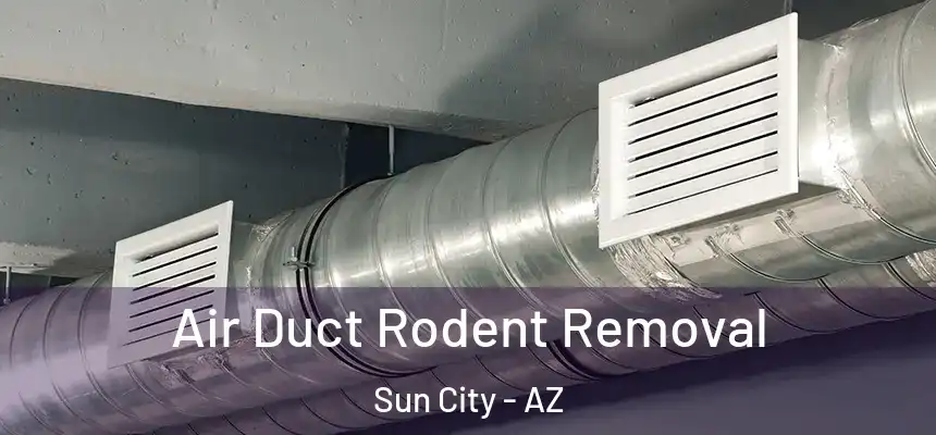  Air Duct Rodent Removal Sun City - AZ