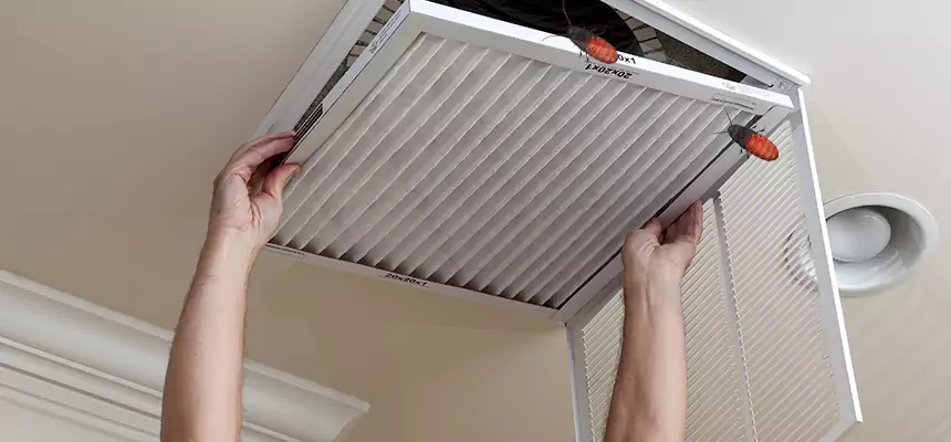 Preventive Cockroach-Proofing for Ducts in Sun City
