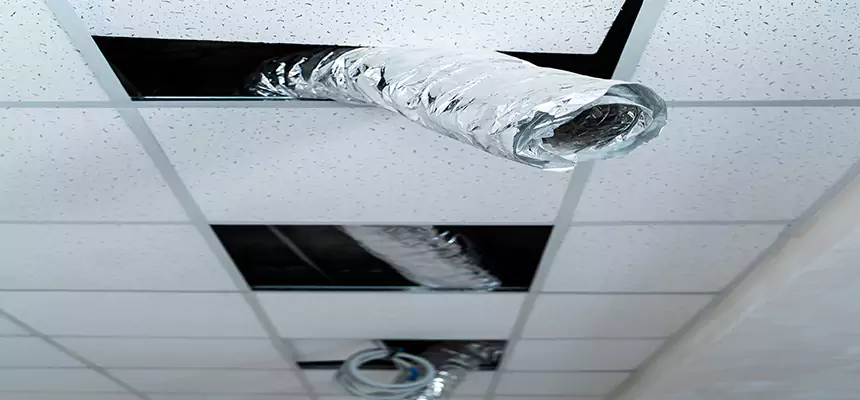 Our Air Duct Pet Hair Removal Services in Sun City, AZ