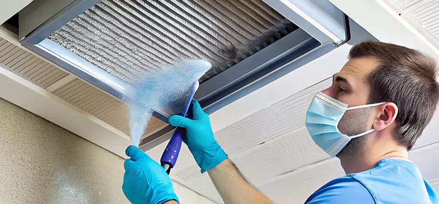 Proactive Dryer Vent & Auxiliary Duct Pollen Cleanup in Sun City, AZ