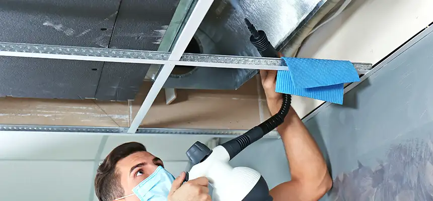 Our Air Duct Rodent Removal Services in Sun City, AZ