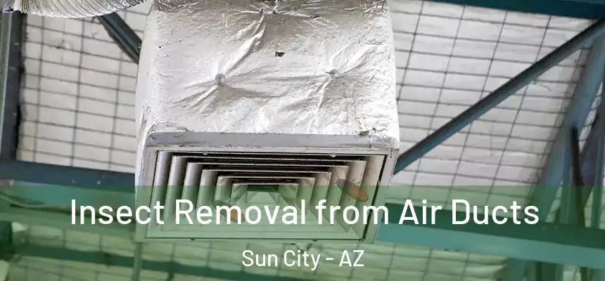 Insect Removal from Air Ducts Sun City - AZ