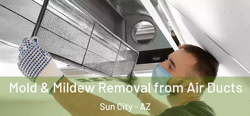  Mold & Mildew Removal from Air Ducts Sun City - AZ