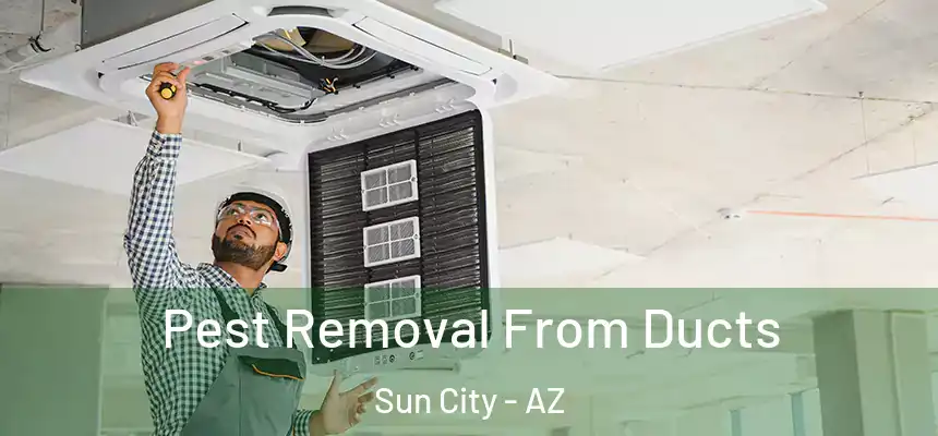 Pest Removal From Ducts Sun City - AZ
