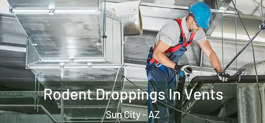  Rodent Droppings In Vents Sun City - AZ
