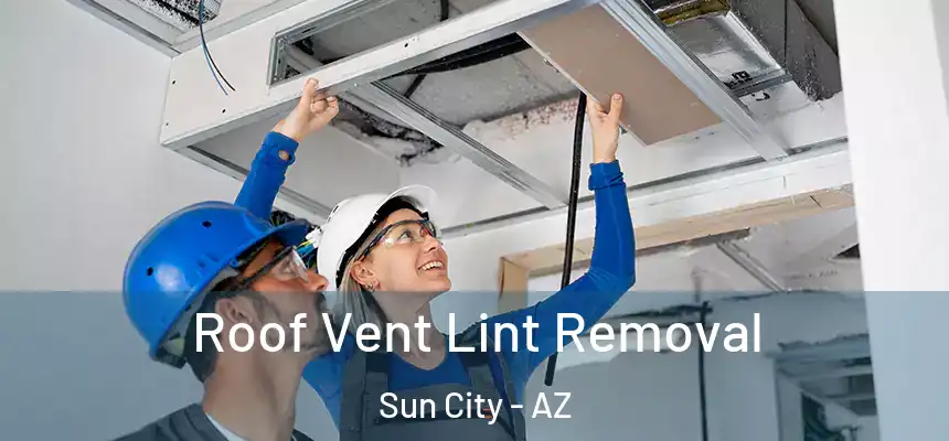  Roof Vent Lint Removal Sun City - AZ