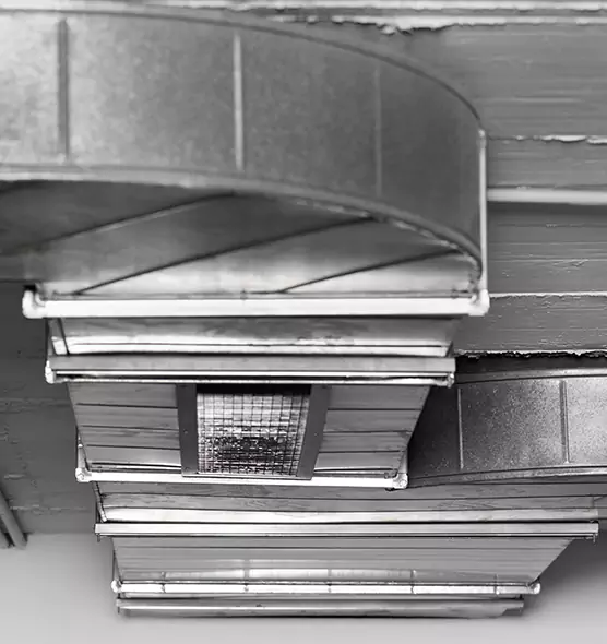 Professional Air Duct Pest Removal in Sun City, AZ