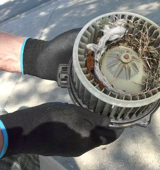 About Air Duct Rat Removal in Sun City, AZ