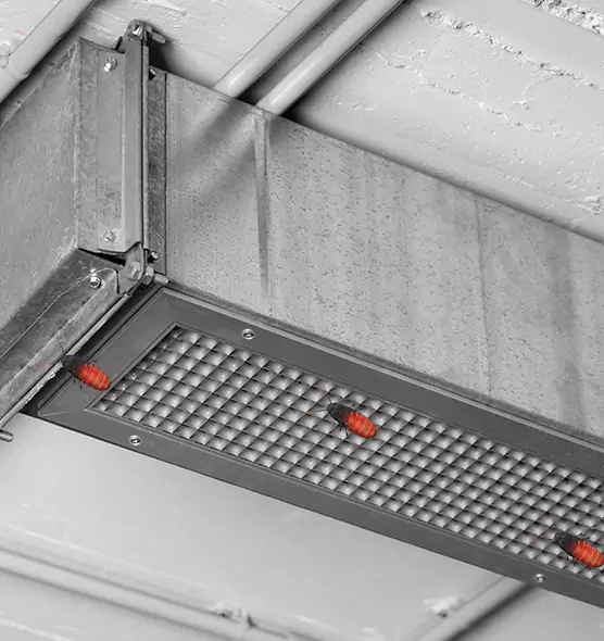 Affordable Insect Removal from Air Ducts in Sun City, AZ