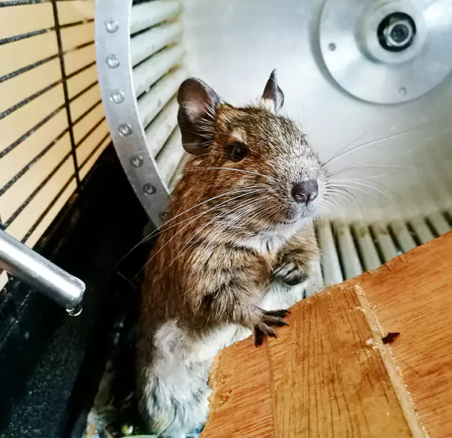 Why Homeowners & Businesses Trust Us Sun City, AZ?