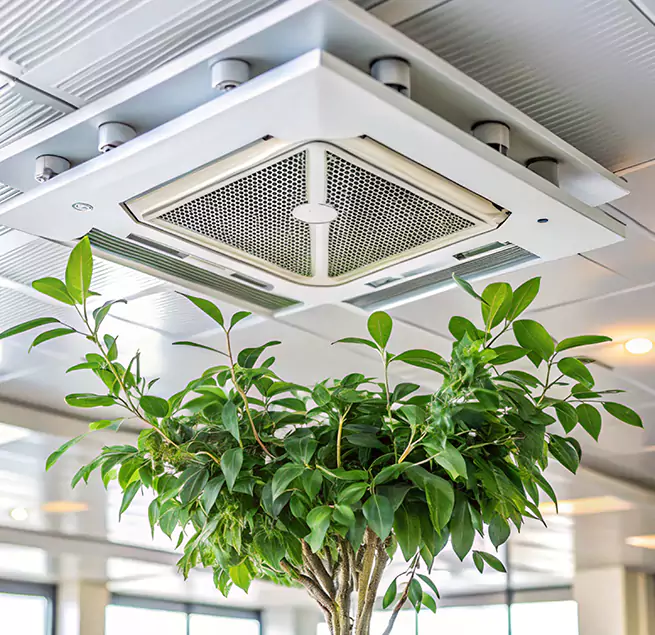 Why Homeowners & Businesses Trust Us in Sun City, AZ